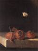 COORTE, Adriaen