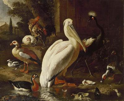 Birds in a Park