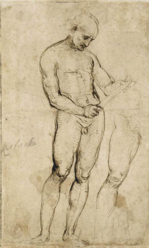 Nude studies, probably for St Peter by RAFFAELLO Sanzio